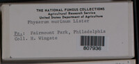 Image Associated With the Occurence